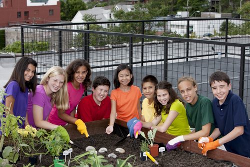 Group of Ethnically Diverse Children Planting Urban Rooftop Garden
